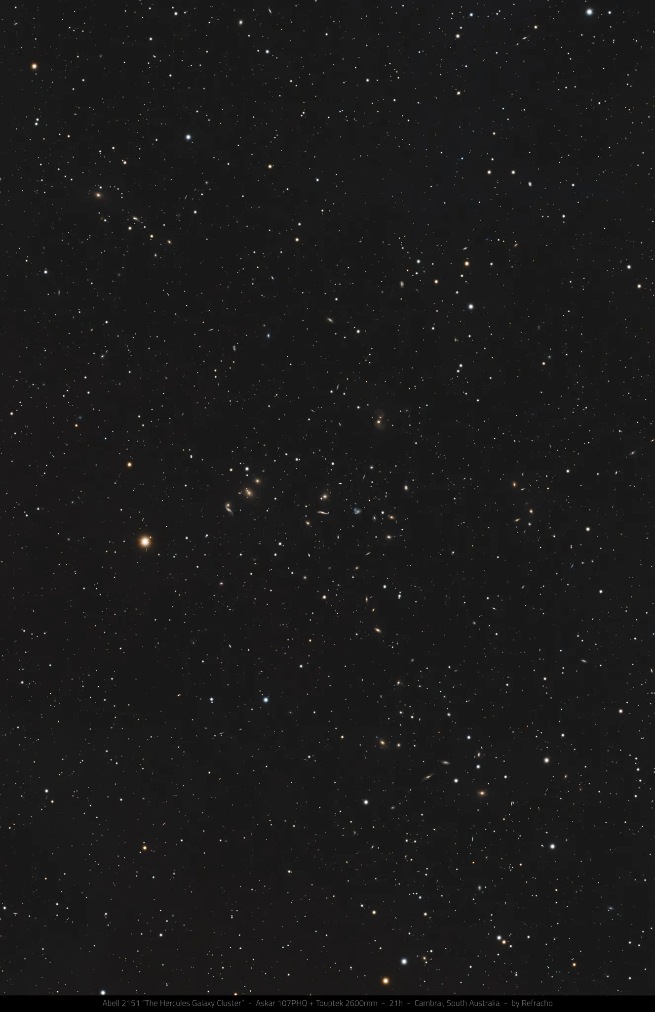 Abell 2151, the Hercules Galaxy Cluster, showing hundreds of distant galaxies captured through deep-sky astrophotography.