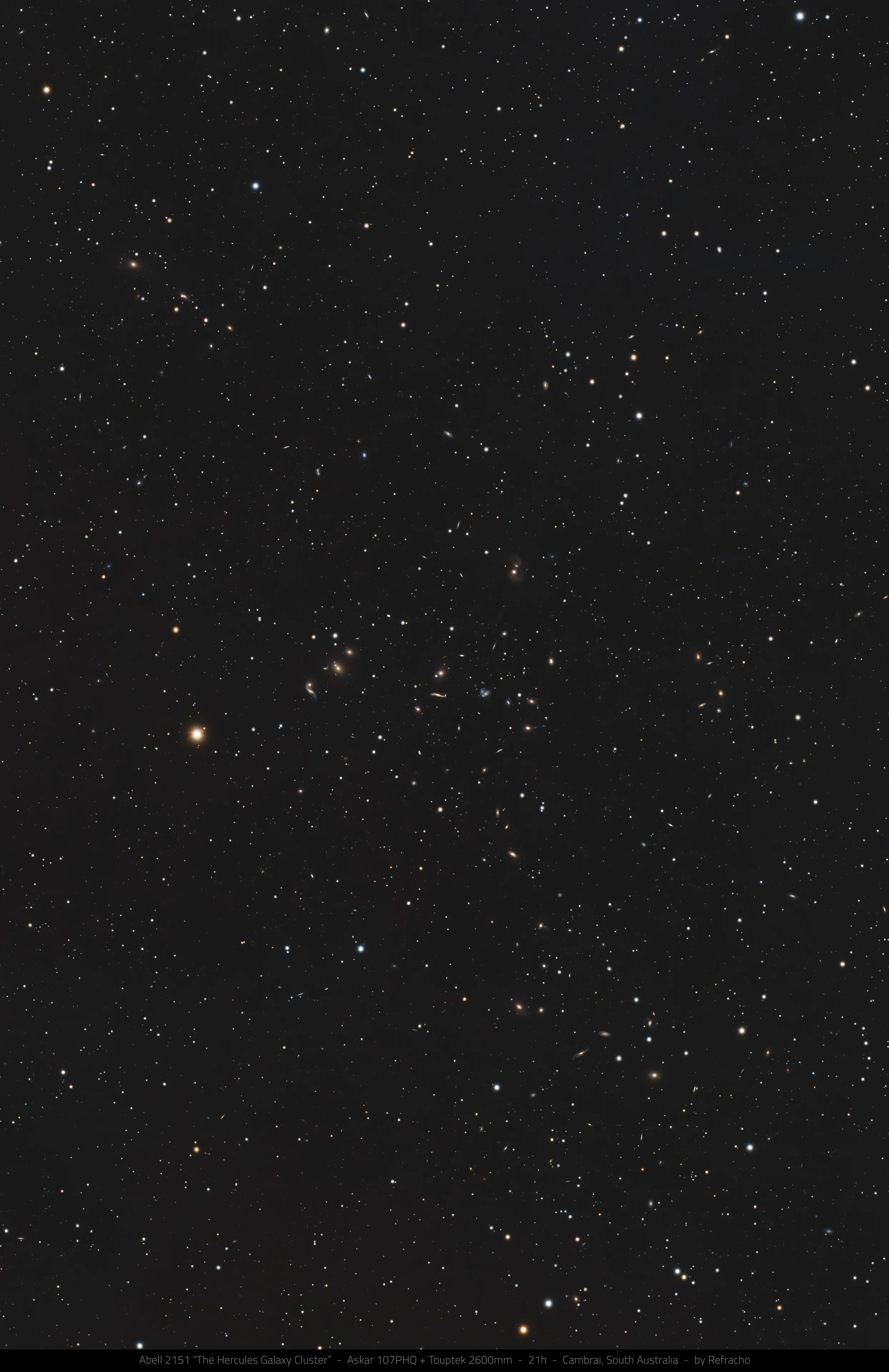 Abell 2151, the Hercules Galaxy Cluster, showing hundreds of distant galaxies captured through deep-sky astrophotography.
