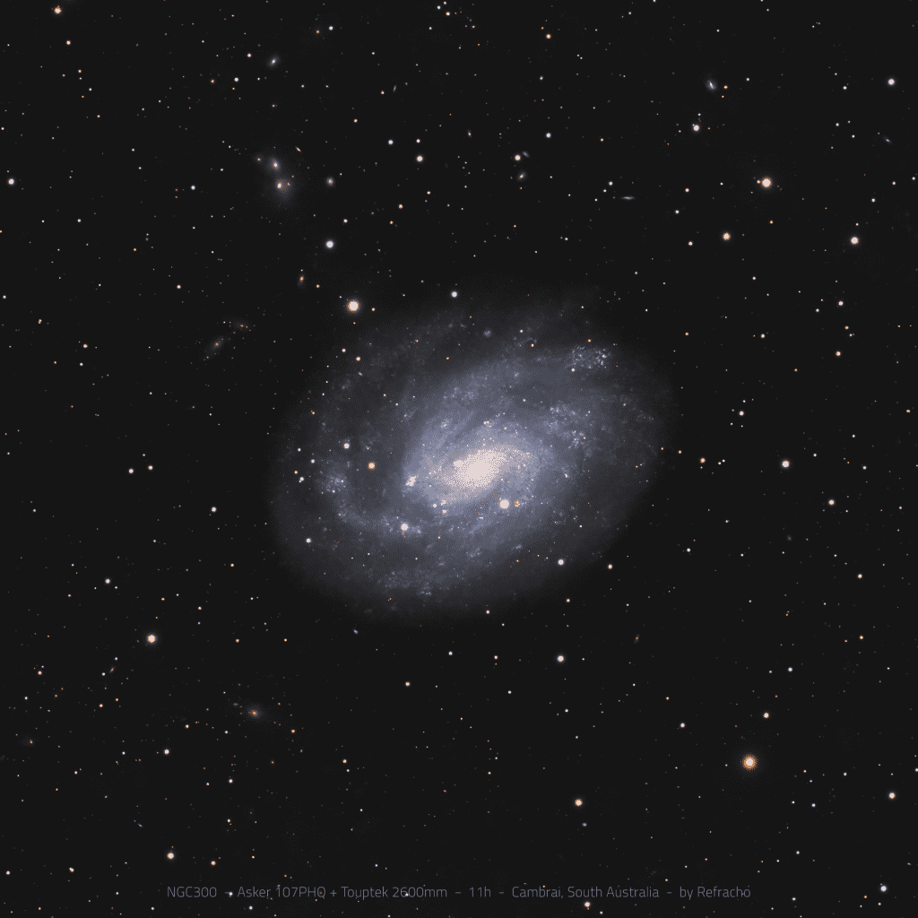 NGC 300 spiral galaxy – astrophotography by Junrui Ye