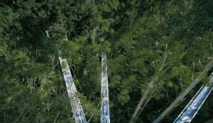 Great Otway National Park – landscape photography by Junrui Ye