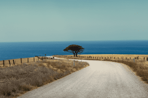 Myponga Beach Rd – landscape photography by Junrui Ye