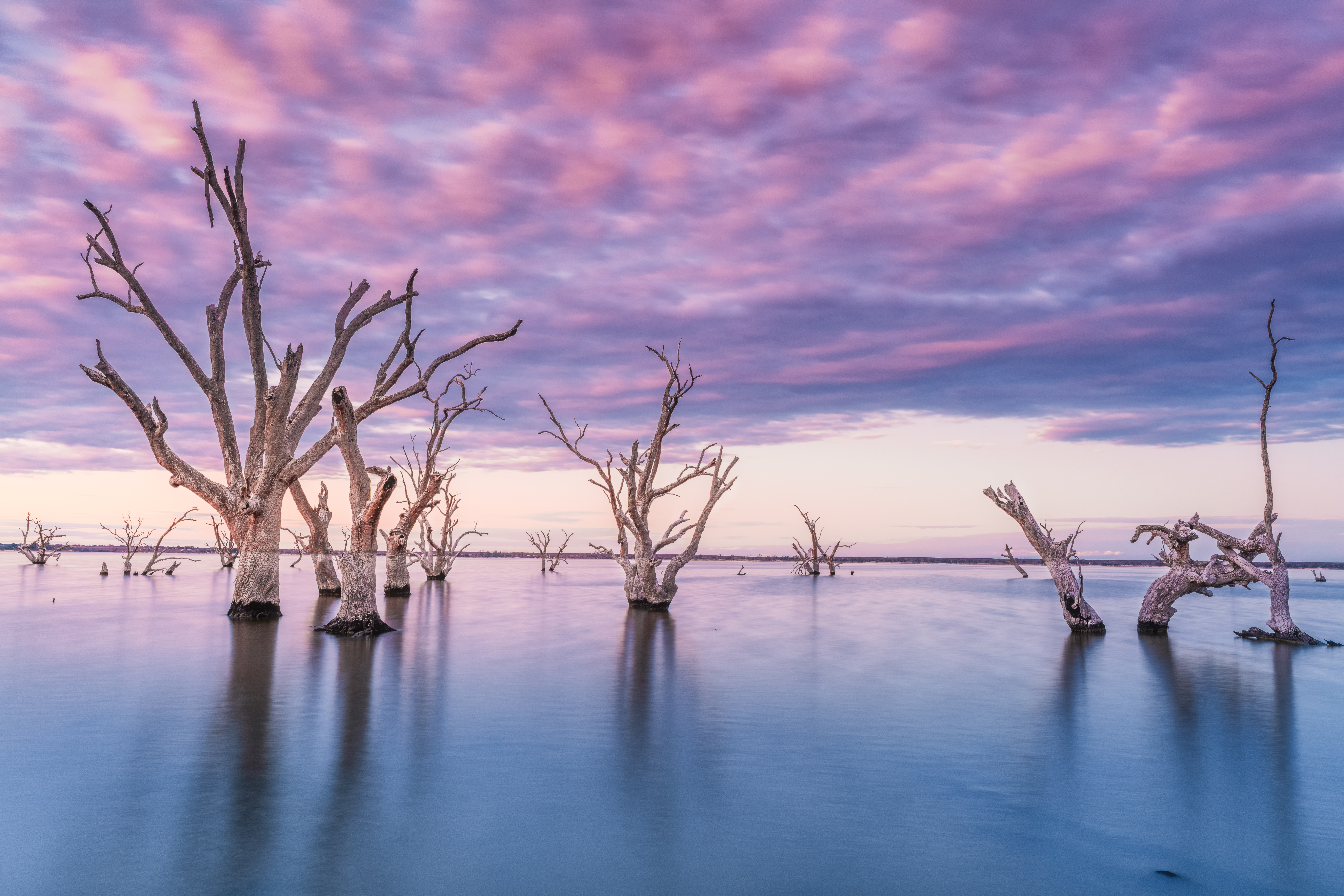 Lake Bonney, Riverland – landscape photography by Junrui Ye