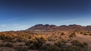 Midsection of Moralana Scenic Drive in the Flinders Ranges, surrounded by rugged cliffs and desert vegetation under soft outback light – landscape photography by Junrui Ye