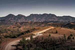 View from Razorback Lookout in the Flinders Ranges at sunset, showcasing winding ridges, glowing cliffs, and the vast Australian outback – landscape photography by Junrui Ye