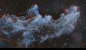 NGC 1909 Witch Head Nebula IC 2118 astrophotography by Junrui Ye showing blue reflection nebula, red hydrogen emission regions, and detailed interstellar dust captured from South Australia