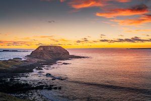 Golden sunset over The Nobbies coastal landscape on Phillip Island in Victoria, Australia