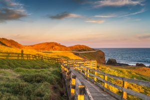 Wooden boardwalk glowing in golden hour light at The Nobbies on Phillip Island