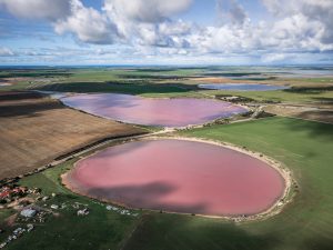 Aerial View of Pink Lake, Yorke Peninsula Drone aerial view of Pink Lake surrounded by farmland on the Yorke Peninsula, South Australia, with vibrant pink water beneath dramatic clouds.